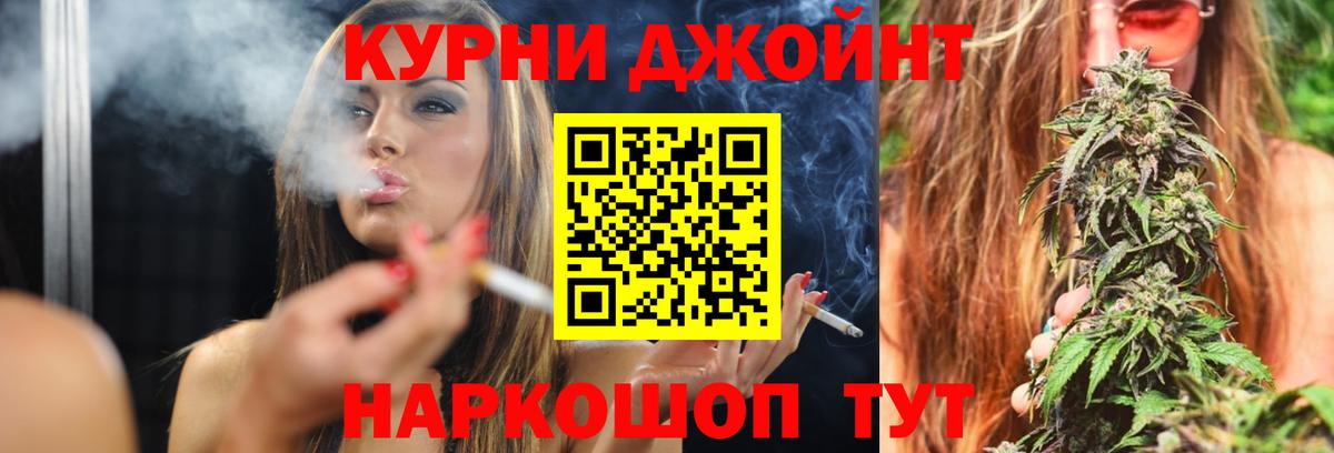 Шишки марихуана планчик Кингисепп